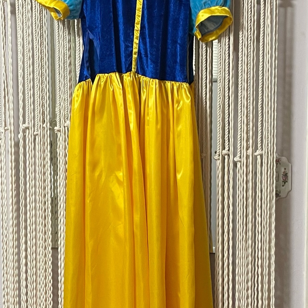 Adult Costume